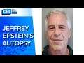 New Report On Jeffrey Epstein's Death