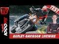Test Harley-Davidson LiveWire 2019! Ganz untypisch für Harley!