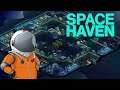 КОСМИЧЕСКИЕ РАЗВЛЕЧЕНИЯ | Space Haven | ПРОХОЖДЕНИЕ #10