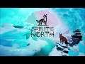 Spirit of the North : Gameplay Nintendo SWITCH