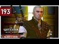 Manticore Armor - Let's Play The Witcher 3 Blind Part 193 - Blood and Wine PC Gameplay