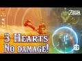 Zelda BoTW: Savage Crusher Lynels | 3 Hearts, No Damage