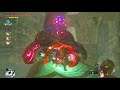 Tianlein plays The Legend of Zelda - Breath of the Wild (32)
