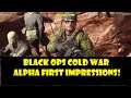 Black Ops Cold War Alpha PS4 First Impressions | The JMulls' Multiplayer Show