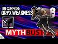 Oryx Surprise Weakness and the Bullet Stopping Iana - 6News - Rainbow Six Siege
