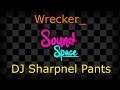 DJ Sharpnel Pants | Sound Space