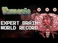 Terraria Expert Brain of Cthulhu WORLD RECORD! (4:53)