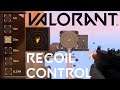 VALORANT - Easy recoil control tip / crosshair controls guide
