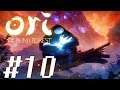 Ori and the Blind Forest [LET'S PLAY/PLAYTHROUGH/PC GAMEPLAY] - Part 10: Let There Be Light!