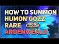 How to Summon Humon'gozz WoW
