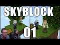 Minecraft Nintendo Switch Bedrock Edition - SKYBLOCK SPLITSCREEN | BASEMENT | Part 1 - Ep 1