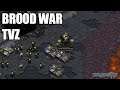 ZG Plays Brood War: Terran vs Zerg