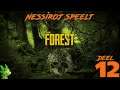 #NL #PC | The Forest 2020 playthrough deel 12