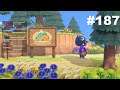 Animal Crossing New Horizons Stream VOD #187 (02/11/2021): Farming, Storage and... Socks?