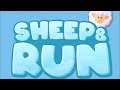 Sheep and Run (by Thoughtfish GmbH) IOS Gameplay Video (HD)