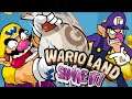 Wario Land: The Shake Dimension - VAF Plush Gaming #423