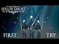First Try - Hollow Knight 112%