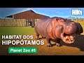 Preparando o Habitat dos Hipopótamos - Planet Zoo #5 | HomineK1 (Gameplay Time-lapse)