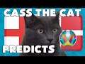 CASS THE CAT - EURO 2020 SEMI FINAL PREDICTION - ENGLAND VS DENMARK