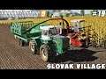 Harvesting corn silage | Slovak Village | Farming simulator 19 | Timelapse #19