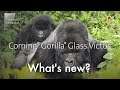 Corning Gorilla Glass Victus — An Introduction