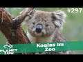 Koalas im Zoo 🐘 PLANET ZOO [Deutsch] #297