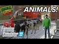 🔴 Farming Simulator 22 - First Look! (Animals, Grasswork & Silage)