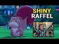 Shiny RAFFEL nach 1208 Encountern Reaction! || Pokémon SCHWERT & SCHILD