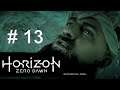HORIZON ZERO DAWN - # 13 - O Ardiloso -  Dublado e Legendado em Português PT-BR | PS4