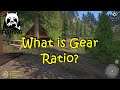 Russian Fishing 4 What is Gear Ratio and Rotational Speed?