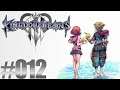 Let's Play Kingdom Hearts III #012 [Deutsch] - Vega, Altair und Deneb