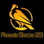 Phoenix Electro 123