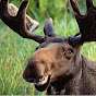 Trustworthy Moose