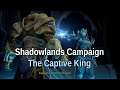 Anduin and Sylvanas Cinematics "The Captive King" WoW Shadowlands Campaign