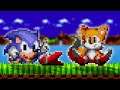 Sonic 1 Remake - Almost Fully Smooth Animations