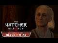 THE WITCHER 3: BLOOD AND WINE ⚔️ Bleib ein Weilchen und hör‘ zu! | #212