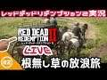 #10 Live【Red Dead Redemption 2】チャプター3をさまようおじさん【RDR2】【レッド デッド リデンプション2】