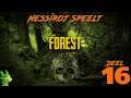 #NL #PC | The Forest 2020 playthrough deel 16