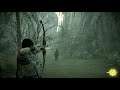 Shadow of the Colossus pt:7 - Sometings in da Watah...