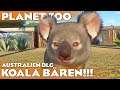KOALA BÄR im AUSTRALIEN DLC von Planet Zoo Deutsch