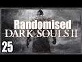 Darks Souls 2 Randomised #25 - Big Bull Havel Pounds Grapple Into Submission