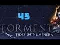 Zagrajmy w Torment: Tides of Numenera - odc. 45