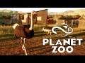 Starting with Ostriches! - Planet Zoo - Part 4