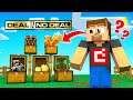 DEAL or NO DEAL for SUPER POWERS in Minecraft