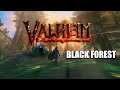 Valheim CO-OP - 8 I Black forest
