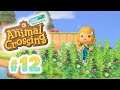Animal Crossing New Horizons: Le désherbage de l'ENFER !