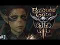 Baldur's Gate Stream 1 | Part 1 | Vaughan Davies - Twitch.tv