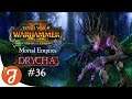 On The Hunt For The Chaos | Drycha #36 | Total War: WARHAMMER II - Twisted & The Twilight