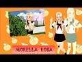 Morella Rosa's Theme Song