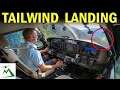 CRAZY or Graceful LANDING with a TAILWIND on a Mountain Runway....You Decide